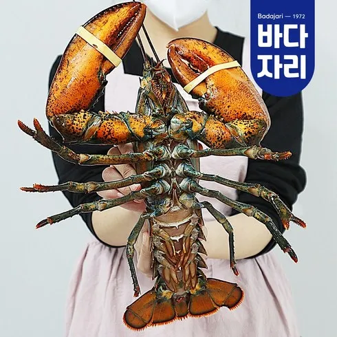 랍스타 브랜드 상품 가격정보